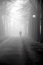 Nella nebbia