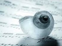 Musica del vivere