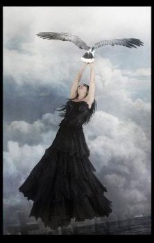 Se dovessi volare- sarebbe cosi'