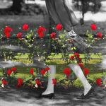 C'erano le rose