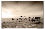 Segui la voce del cielo