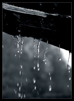 Questa notte