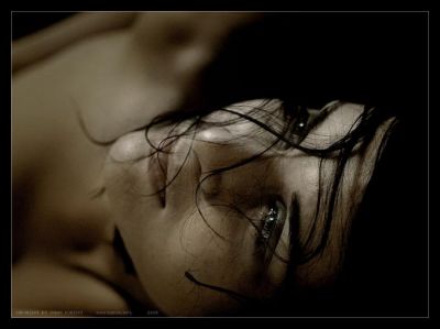 Scrive il non dire