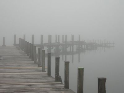 C’è nebbia fuori
