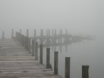 C�� nebbia fuori  