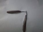 Un giorno da scrivere  