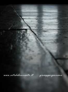 Nei giardini d’inverno