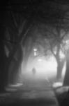 La tua voce � qui