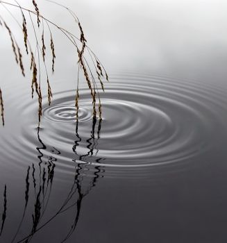 La poeme