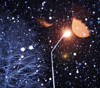 La voce della neve