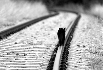 Cade il silenzio