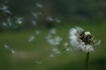 Alla luce del pensiero