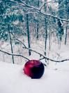Sarai autunno poi, neve a primavera