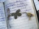 Scrivere cosa... (Le parole dell'amore)