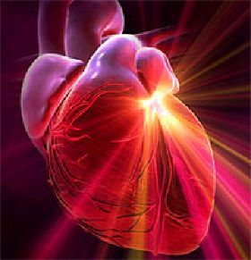 Cuore Ingenuo