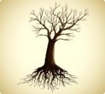 Ho visto un albero