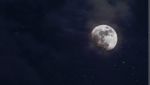 Buio nella notte