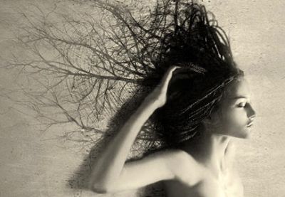 Compagni per la vita
