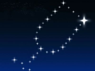 Calici di stelle  