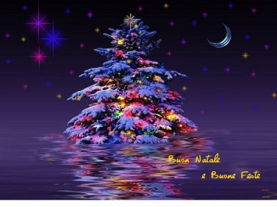 L’albero dell’amore