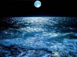 E la notte