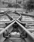 Dolore