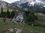 Il ciclo della vita