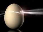 Riciclato, spera nella rinascita