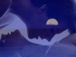 Il mare racconta