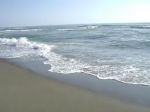 Mare