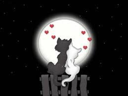 Respiro d'amore