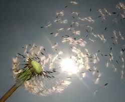I pensieri nel cielo