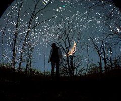 Ultime stelle