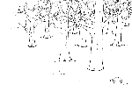 Foglie tremanti