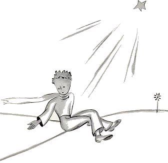 Bere le stelle
