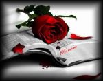 Vivo amor