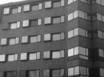 Dalla radice d'ogni unghia fino alla base del collo  