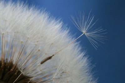 Azzurro