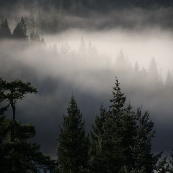Dell'inverno