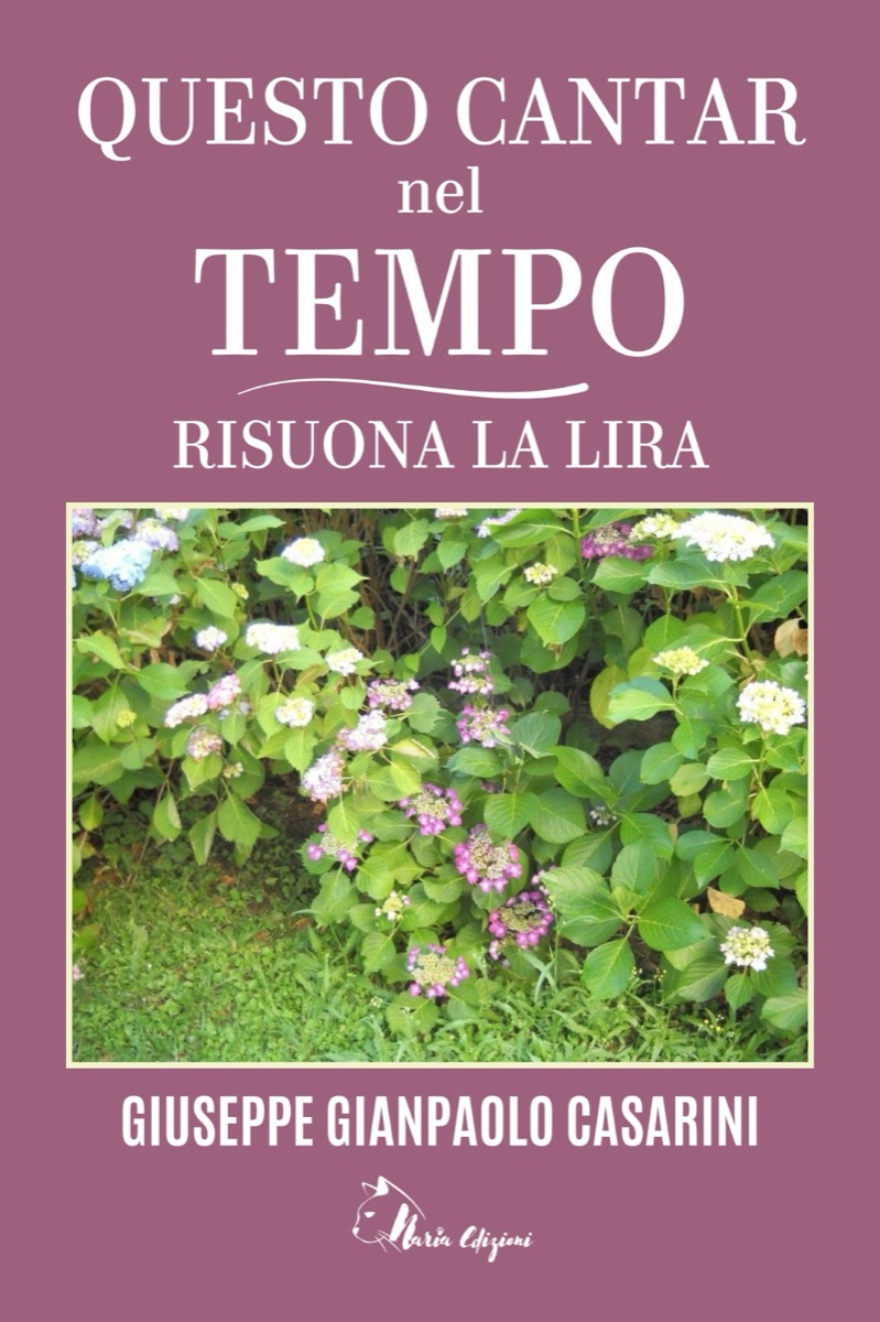 Copertina di Questo Cantar nel Tempo